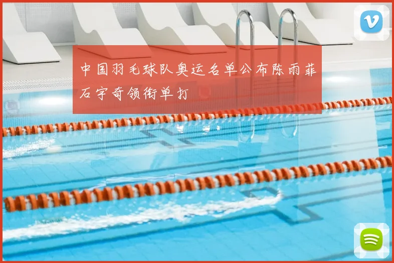 中国羽毛球队奥运名单公布陈雨菲石宇奇领衔单打