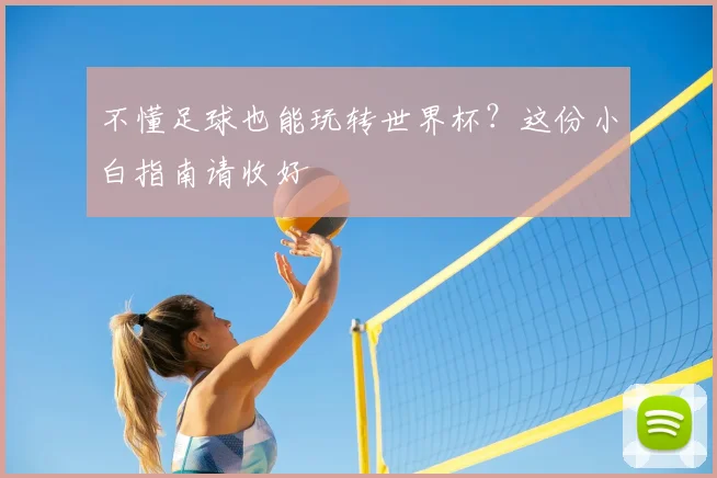 不懂足球也能玩转世界杯？这份小白指南请收好