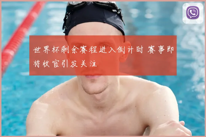 世界杯剩余赛程进入倒计时 赛事即将收官引发关注