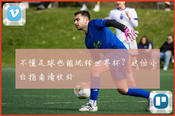 不懂足球也能玩转世界杯？这份小白指南请收好