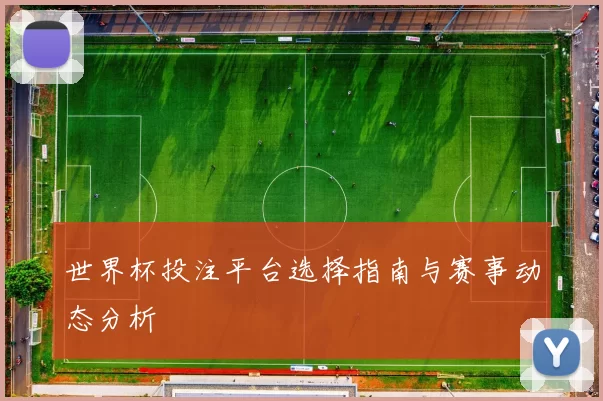 世界杯投注平台选择指南与赛事动态分析