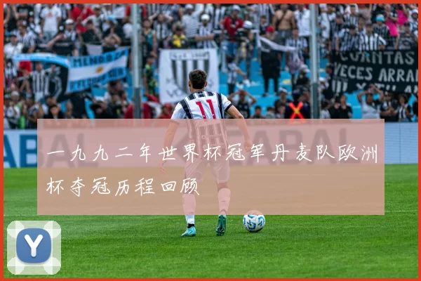 一九九二年世界杯冠军丹麦队欧洲杯夺冠历程回顾