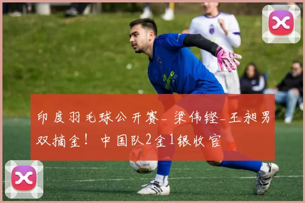 印度羽毛球公开赛_ 梁伟铿_王昶男双摘金！中国队2金1银收官