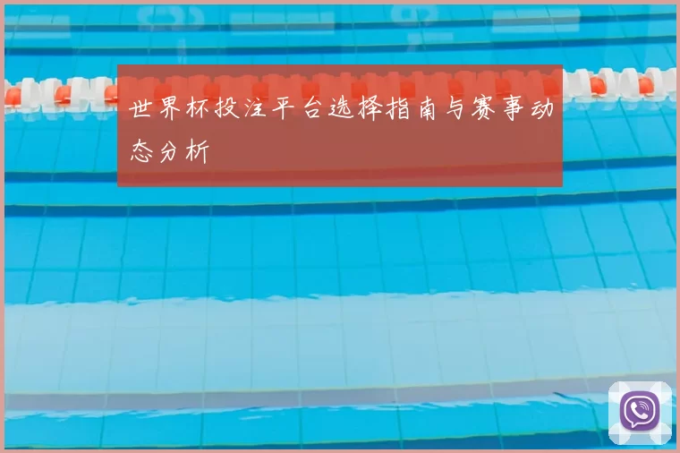 世界杯投注平台选择指南与赛事动态分析