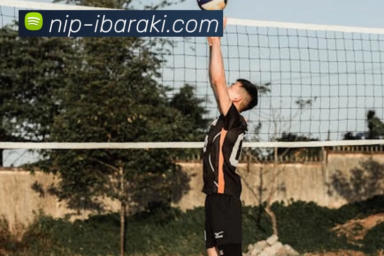 ky体育APP 高清赛事图